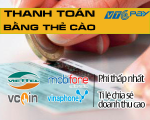 thanh toan bang the cao vtc pay